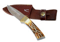 TheBoneEdge 6" Stainless Steel Blade Full Tang Hand Made Knife